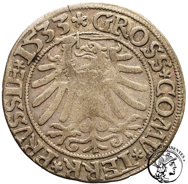 Zygmunt I Stary grosz pruski 1533 st. 3-