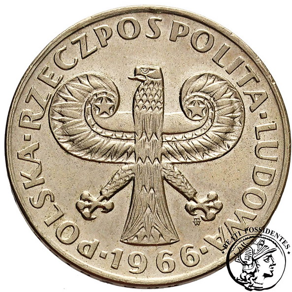 Polska 10 złotych 1966 Mała Kolumna st.2