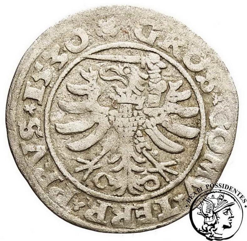 Zygmunt I Stary grosz pruski 1550 st. 4