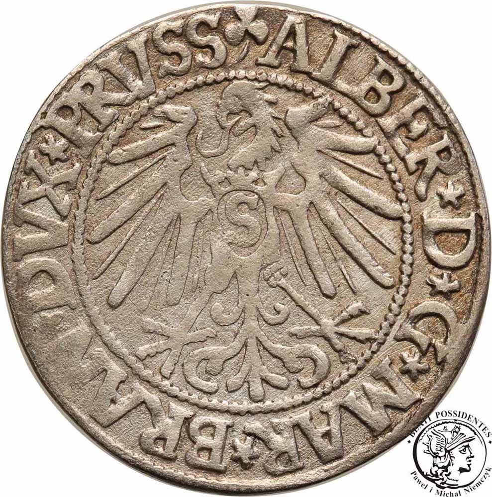Polska Albrecht grosz 1545 Królewiec st. 3/3+