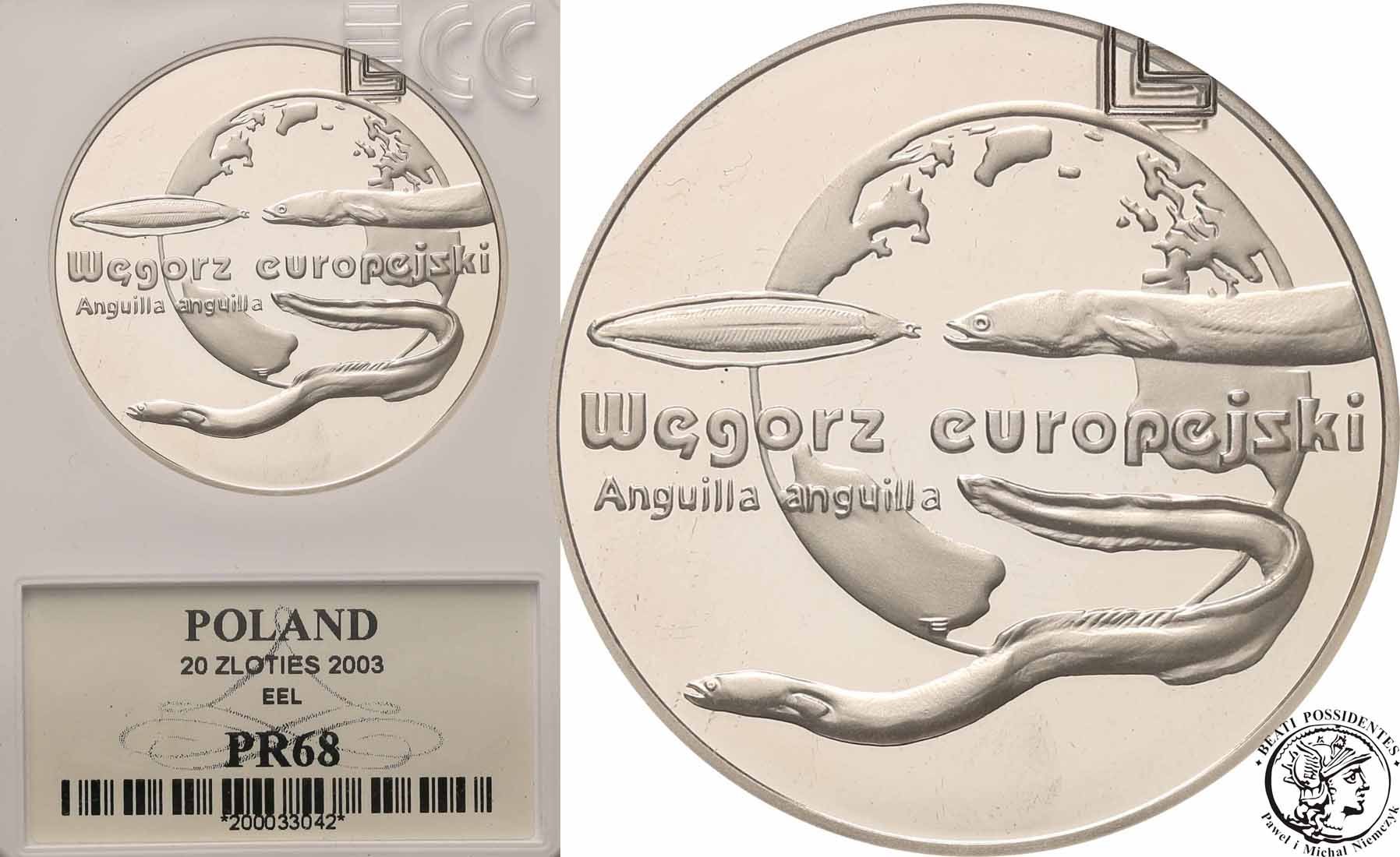 20 złotych 2003 Węgorz Europejski GCN PR68