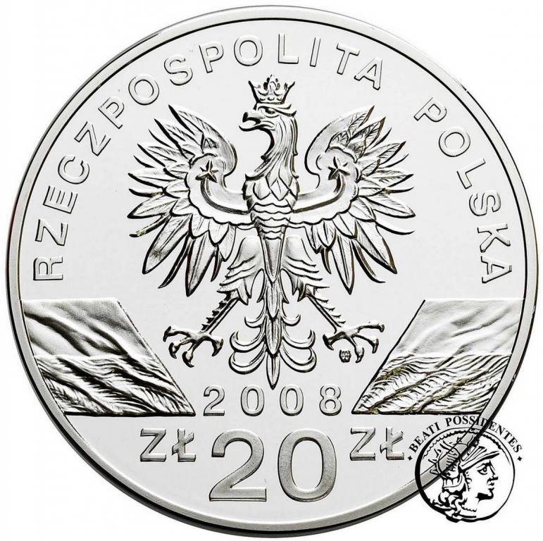 20 złotych 2008 Sokół Wędrowny st.L