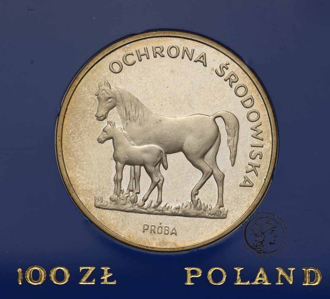 PRÓBA Srebro 100 złotych 1981 Konie Ochrona stL-
