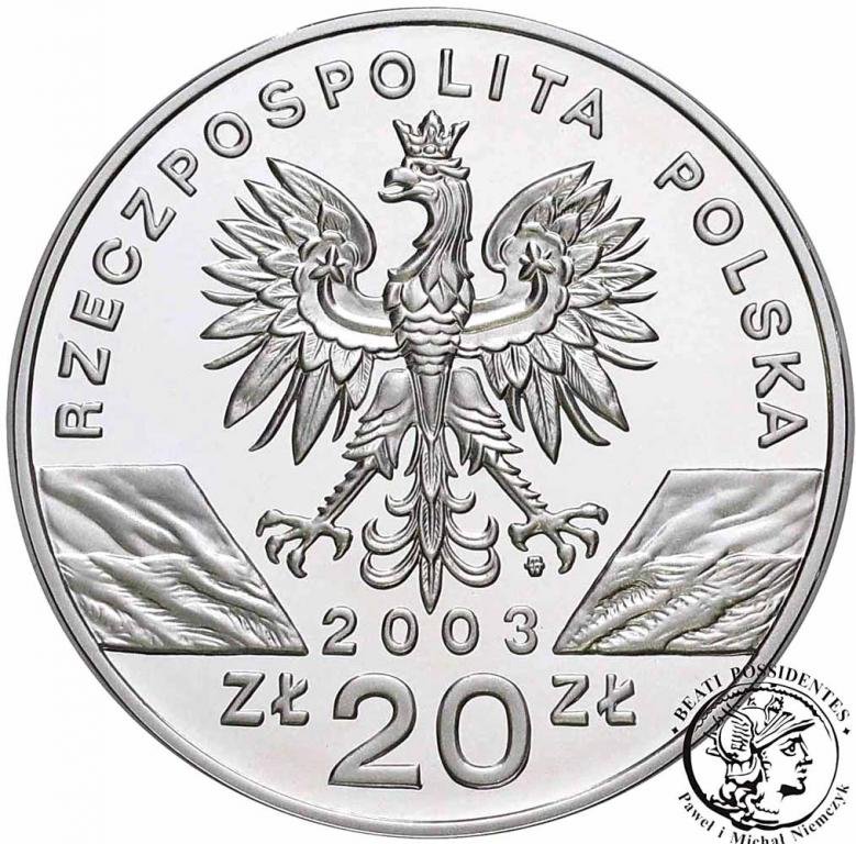 20 złotych 2003 Węgorz Europejski st.L