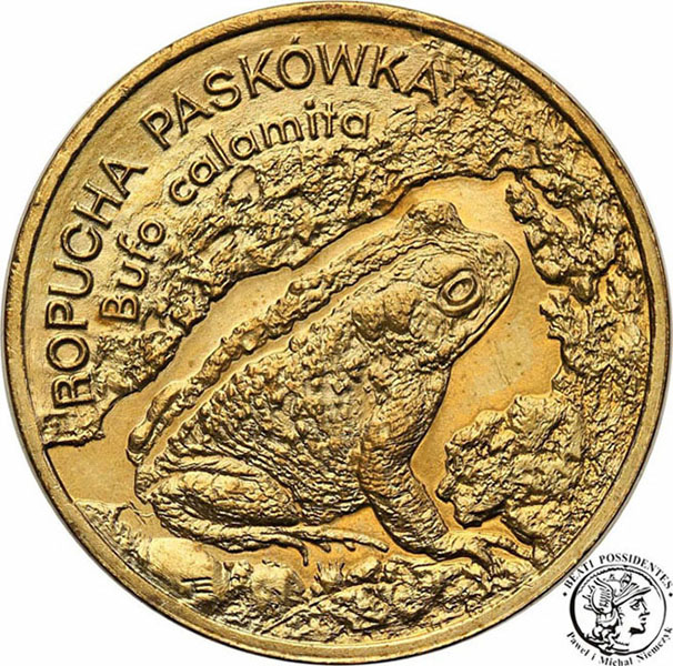 2 złote 1998 Ropucha Paskówka st. 1