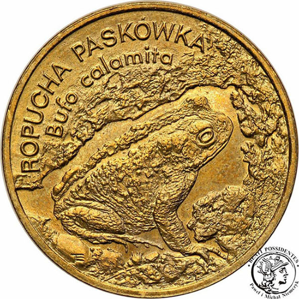 2 złote 1998 Ropucha Paskówka st. 1