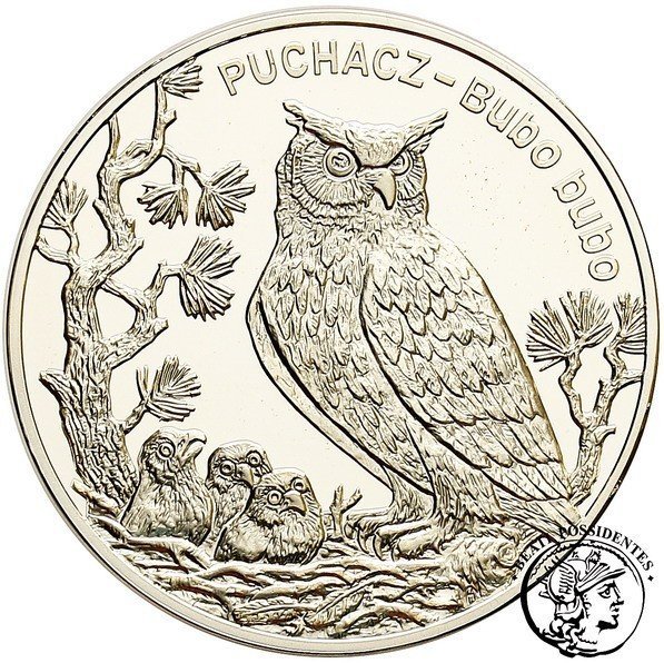 Polska III RP 20 złotych Puchacz 2005 st.L