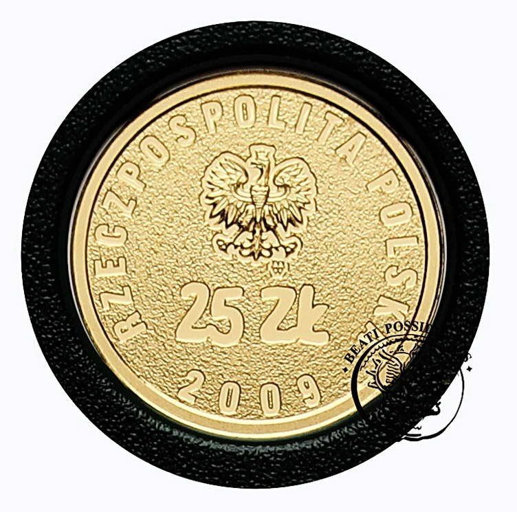 Polska 25 złotych 2009 Solidarność st. L