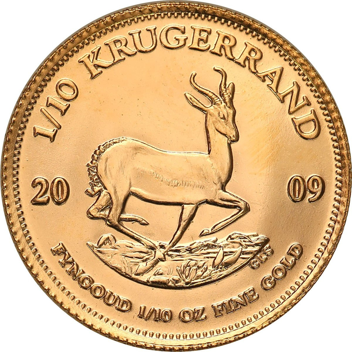 RPA. Złoty Krugerrand 2009 - 1/10 uncji złota