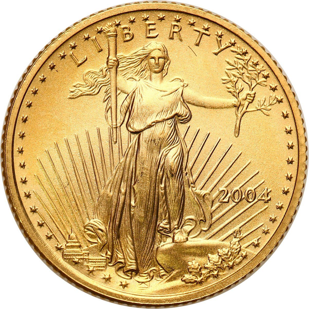 USA. 5 $ dolarów 2004 - 1/10 uncji złota