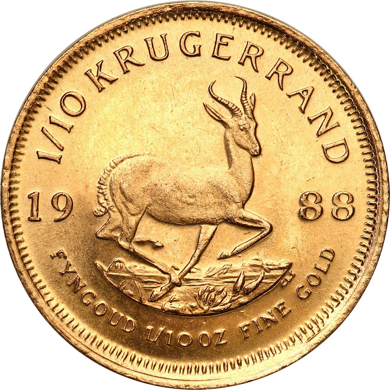 RPA. Złoty Krugerrand 1988 - 1/10 uncji złota