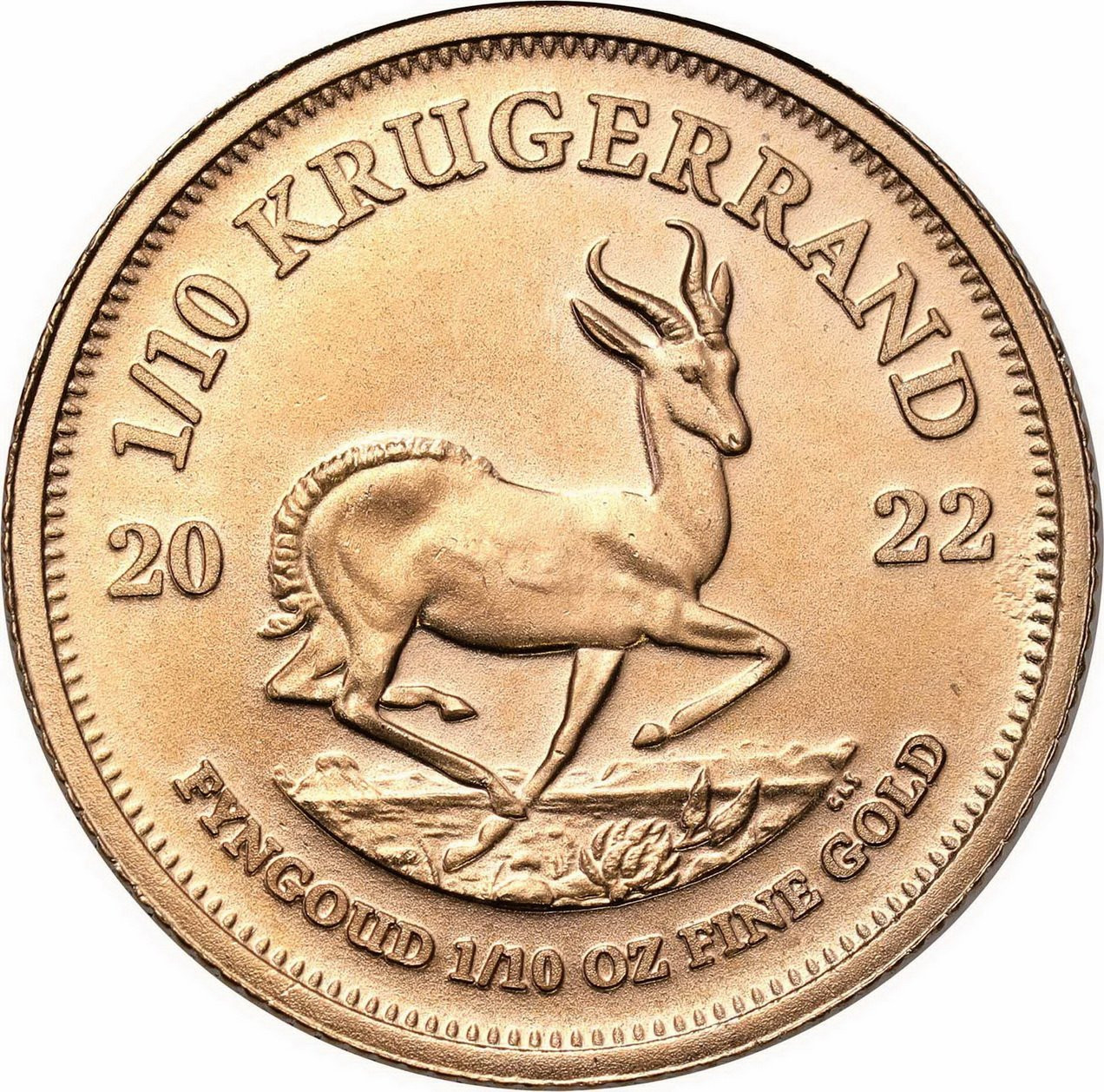 RPA. Złoty Krugerrand 2022 - 1/10 uncji złota