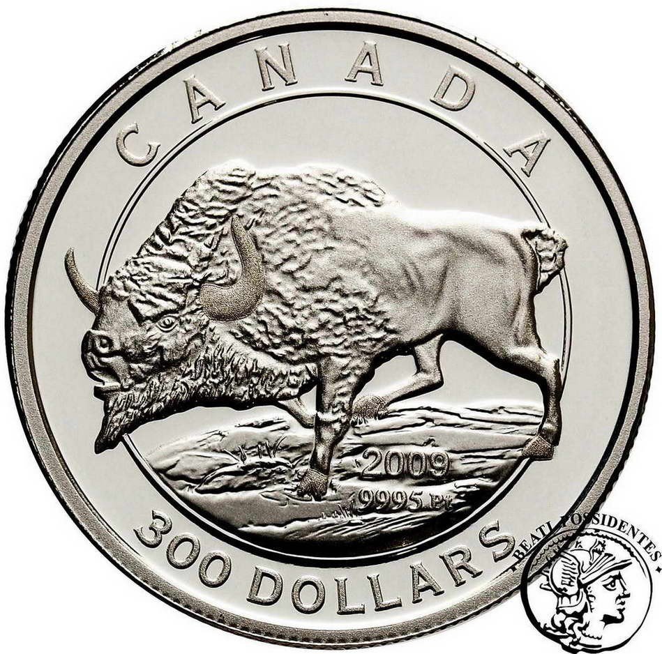 Kanada Elżbieta II 300 Dolarów Bizon 1 Oz Pt st. L stempel lustrzany