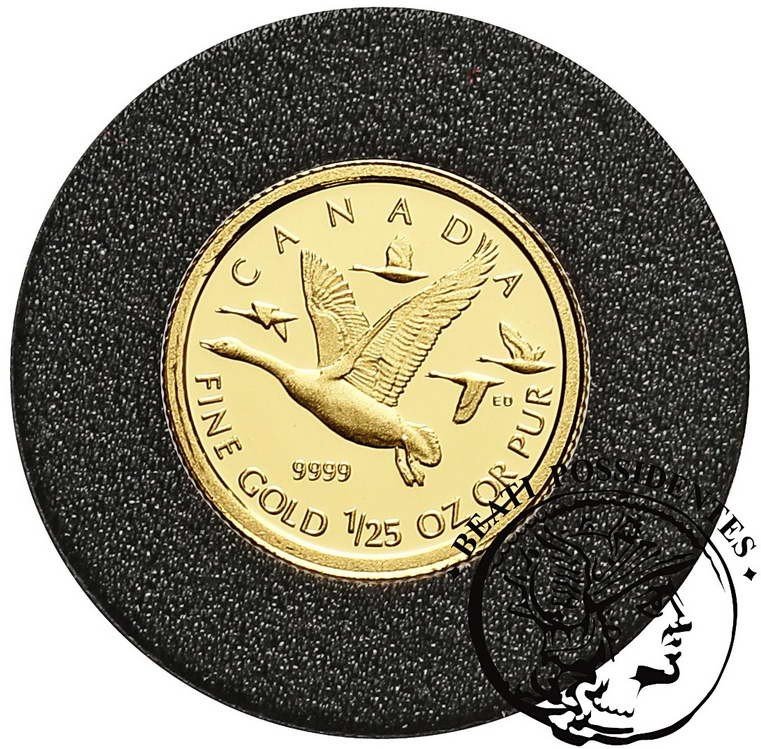 Kanada 50 Centów 2011 dzikie gęsi st.L