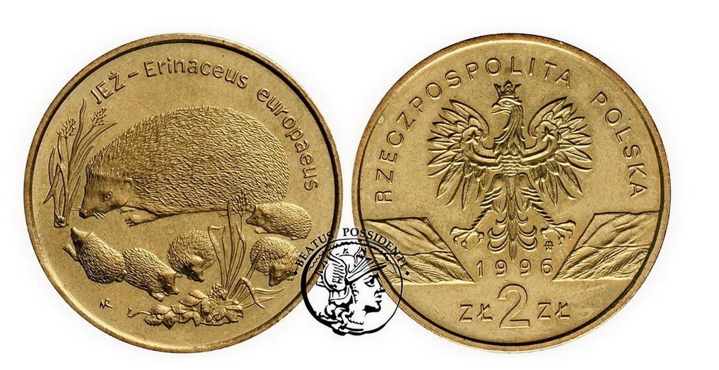 Polska 2 zł 1996 Jeż.
