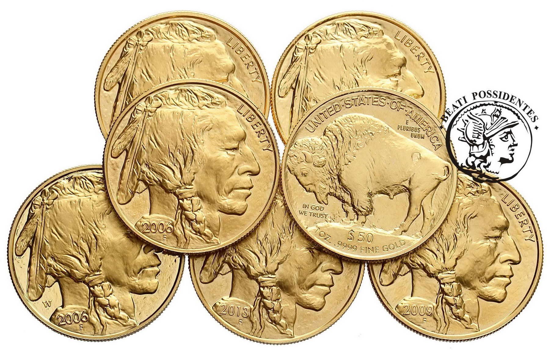 USA 50 $ dolarów Bizon 1 Oz Au 999 2013 st. 1