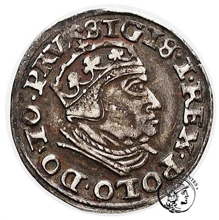 Polska Zygmunt Stary trojak 1540 Gdańsk st. 3+
