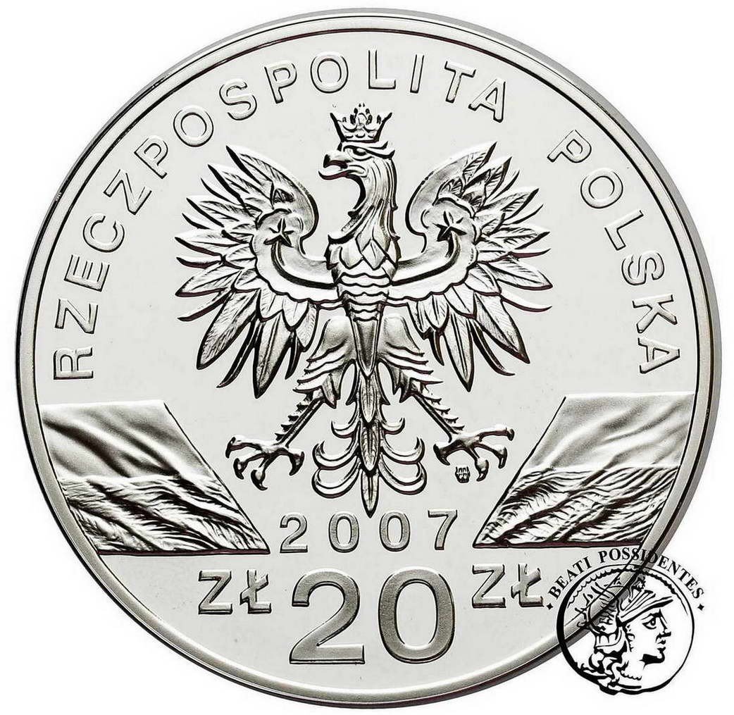 Polska III RP 20 złotych 2007 foka szara st.L